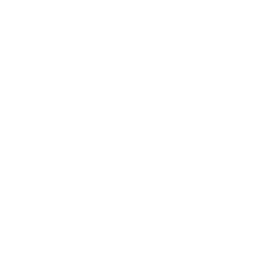 Ice Hockey